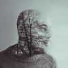 Jodie Parman -  Branches